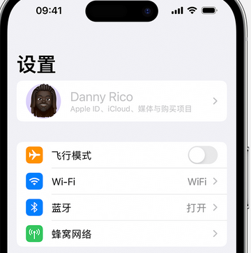 浏阳appleID维修服务iPhone设置中Apple ID显示为灰色无法使用