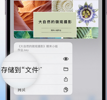 浏阳apple维修中心分享iPhone文件应用中存储和找到下载文件