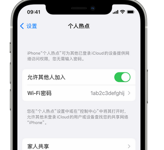 浏阳apple服务站点分享iPhone上个人热点丢失了怎么办 