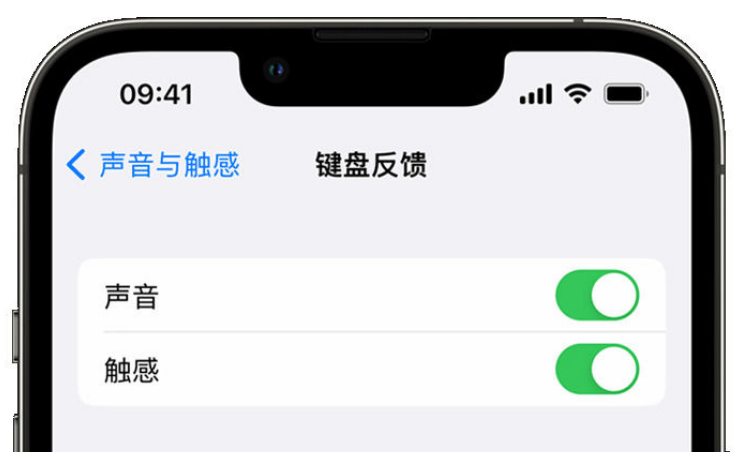 浏阳苹果手机维修分享iPhone 14触感键盘使用方法 