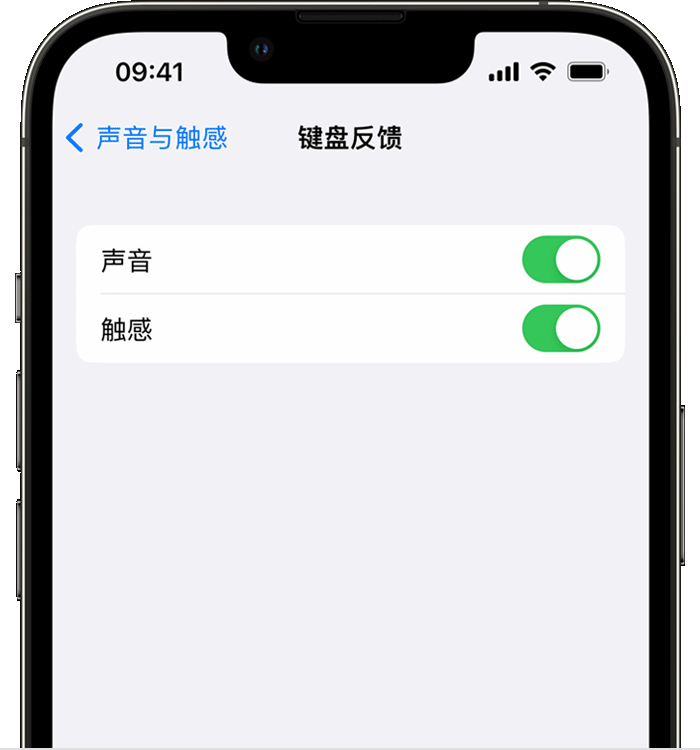 浏阳苹果14维修店分享如何在 iPhone 14 机型中使用触感键盘 