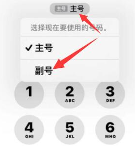 浏阳苹果14维修店分享iPhone 14 Pro Max使用副卡打电话的方法 