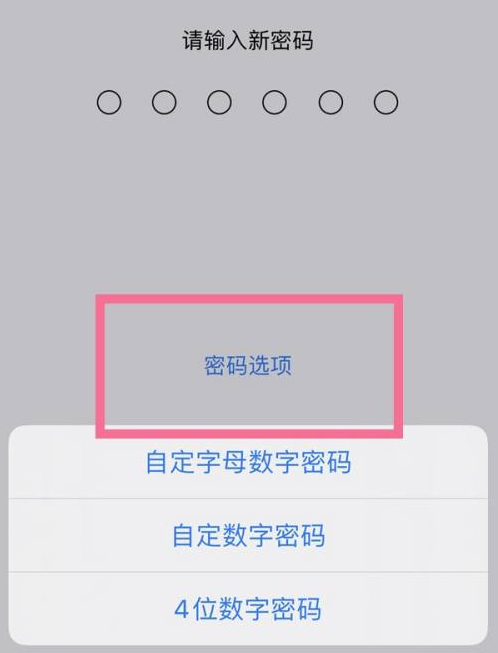 浏阳苹果14维修分享iPhone 14plus设置密码的方法 