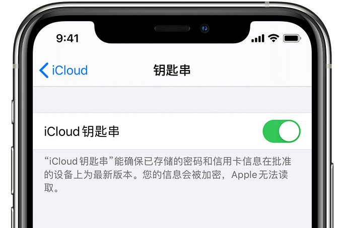 浏阳苹果手机维修分享在 iPhone 上开启 iCloud 钥匙串之后会储存哪些信息 