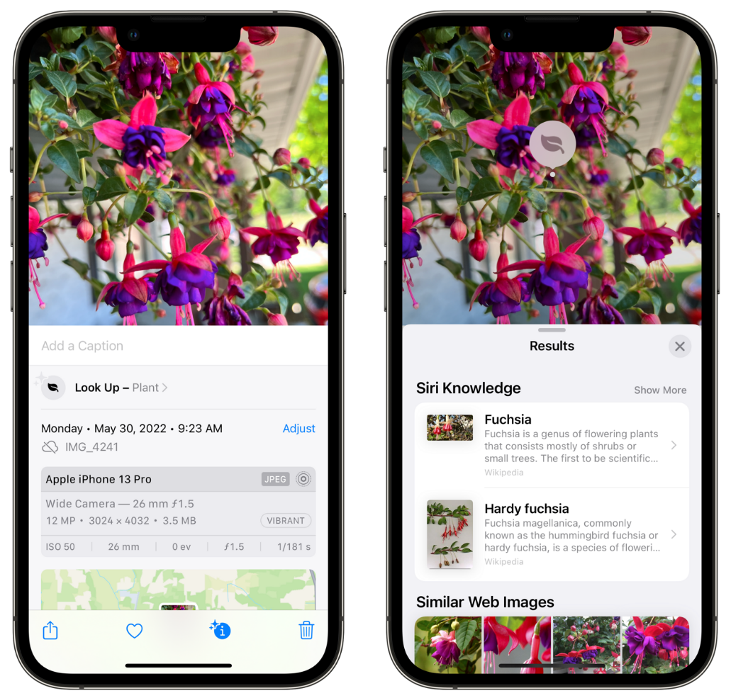 浏阳苹果手机维修分享小技巧：使用 iPhone 相机识别花卉植物 