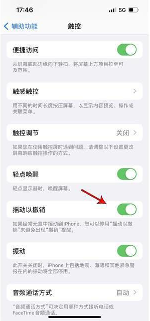 浏阳苹果手机维修分享iPhone手机如何设置摇一摇删除文字 